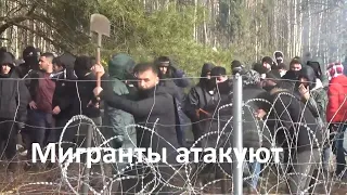 Мигранты продолжают попытки прорваться через границу с Белоруссией