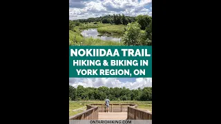 Nokiidaa Trail Newmarket Ride Through