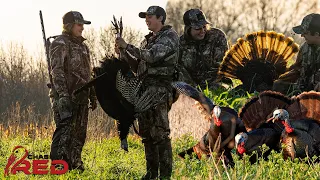 Chasing Red | Longbeard Trio Attacks Decoys, Iowa Spring Gobblers