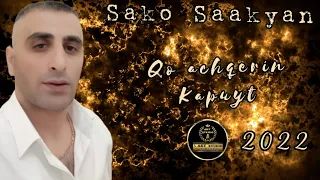 САКО СААКЯН КО АЧКЕРИ КАПУЙТ 2022 SAKO SAAKYAN  qo acheri(music by ART STUDIO)COVER ALIK HAKOPYAN