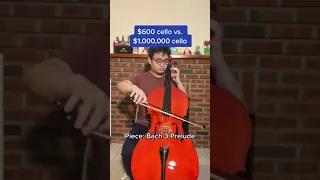 $600 Cello vs. $1,000,000 Cello: Can You Tell The Difference?