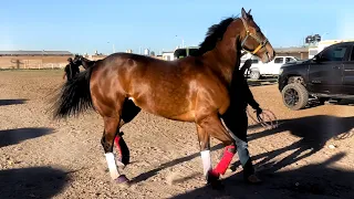 Carreron Muy Cerrado En 350 Varas | El Gorrión Vs El Rubicon, Carril 2000 Durango Mex.