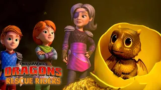 Finding a Dragon Baby | DRAGONS RESCUE RIDERS: HUNT FOR THE GOLDEN DRAGON