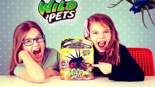 Wild Pets Spider |Spider toy Real Attack | Spider Toy real life