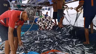 Begini Cara Nelayan Mandar Di Mamuju Menangkap Ikan Di Laut || KM Siporalle 43