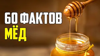 60 ИНТЕРЕСНЫХ ФАКТОВ ПРО МЁД