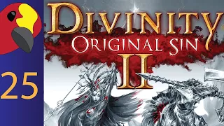 Divinity Original Sin II-#25: Sebille Quest Hook