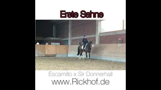 Erste Sahne - Training