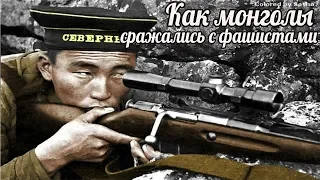 Как монголы сражались с фашистами - Монголия помогла в ВОВ СССР больше, чем США - военные истории .