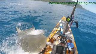 Shark attacks kayak off coast of Hawaii