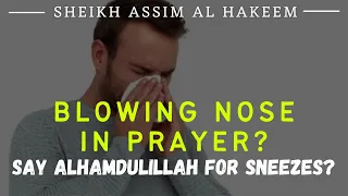 Can we blow our nose while in prayer, & if we sneeze in prayer, can we say Alhamdulillah? Assim Al H