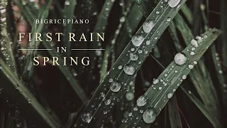 First Rain in Spring - Beautiful & Sad Piano Song with Rainfall ｜BigRicePiano