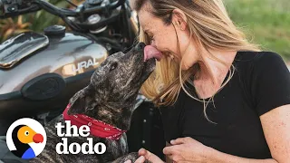 Dog Keeps Sneaking Into This Woman's Yard | The Dodo Soulmates