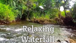 Relaxing piano music 1 hour Relaxing forest birdsong & waterfall nature sounds for sleeping