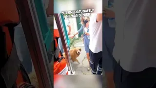 This dog chased after an ambulance carrying his owner ❤️
