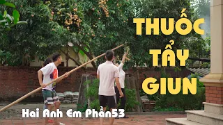 Hai Anh Em Phần 53 | THUỐC TẨY GIUN | Phim Hài Mới Nhất 2020 | Phim Học Đường Hài Hước Gãy TV