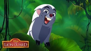 Zuka Zama Music Video | The Lion Guard: Return of the Roar | Disney Junior