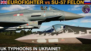 UK-Supplied Eurofighter Typhoon vs Su-57 Felon: BVR Missile Battle | DCS