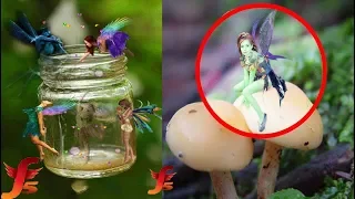 Top 5 Real Fairies Caught On Camera & Spotted In Real Life Evidence Part2