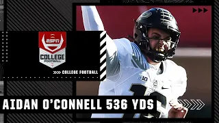 Aidan O’Connell throws for 536 YDS as Purdue tops Michigan State ❕