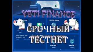 YETI FINANCE ТЕСТНЕТ с перспективой