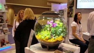 Eddie's BiOrb aquariums at Global Pet Expo