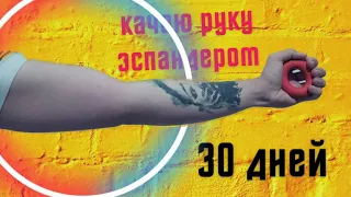 КАЧАЛ ЭСПАНДЕРОМ ПРЕДПЛЕЧЬЯ 30 ДНЕЙ / ПРОВЕРКА ЭСПАНДЕРА   , ЧТО ПОЛУЧИЛОСЬ ???