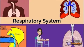 Respiratory System for kids | Parts and functions