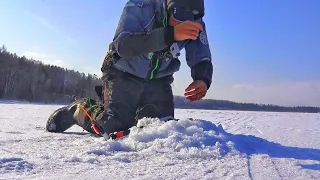 РАССТАВИЛ КРЕСТЫ и САМОЛОВКИ И...! СИГ В МУЛЬТИВАРКЕ! Рыбалка в марте!