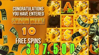 I spent $37,500 on a WILD SWARM MEGA BONUS *RAW* (STAKE)