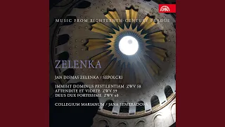 Deus dux fortissime, ZWV 60 - Ave crucis, ave lignum (Aria)