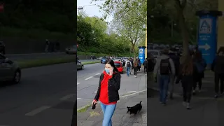 vfl bochum Fan feiern Aufstieg