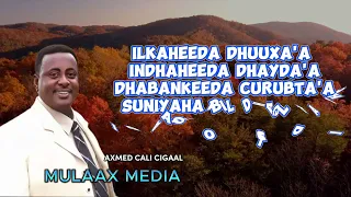 Axmed Cali cigaal | Ma Waagoo Dhalaaybaa