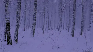 Метель, вьюга   Звуки РЕЛАКС