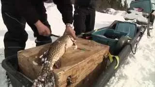 Ice Fishing For Pike on Lac Genevieve