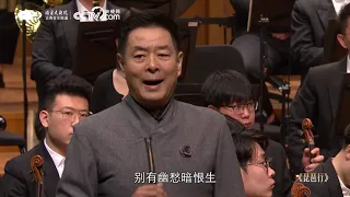 濮存昕震撼朗诵白居易《琵琶行》