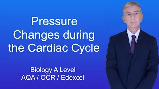 A Level Biology Revision "Pressure Changes during the Cardiac Cycle"