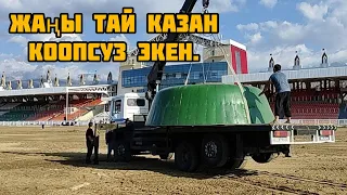 Жаны Тай Казан келди 👋