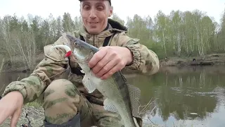 ОНИ ГНУТ СПИННИНГ В ДУГУ... Эмоции зашкаливают, от таких пойманных судаков.