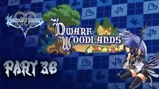 Kingdom Hearts: Birth By Sleep Final Mix [Aqua] -Dwarf Woodlands- Part 36