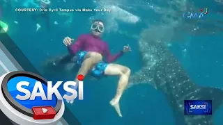 Turista, isinakay ng whale shark habang nagpapakuha ng litrato | Saksi