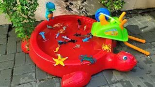 SEA ANIMALS FOR TODDLERS AND KIDS - NAMES, TOYS, VIDEOS AND SOUNDS