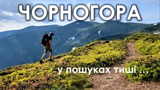 Соло-похід на Чорногірський хребет. Червона рута. Шпиці. Бребенескул. Піп Іван. Вухатий камінь. ASMR