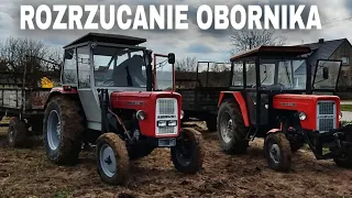 Rozrzucanie Obornika🌱Orka😍Oporowo🔥3x Ursus & Zetor🚜