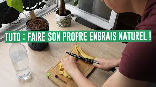 TUTO : RÉALISER SON PROPRE ENGRAIS AVEC DE LA BANANE