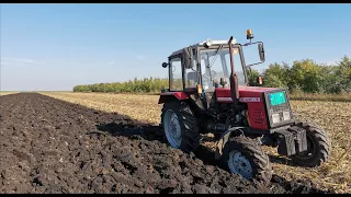 Belarus 82.1 i FOP 610.14 oranje 2022