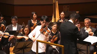 Sibelius Violin Concerto in D minor Op. 47 | Zi Yang Low