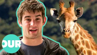 The Daunting Task Of Catching A Giraffe In The Wild | Safari Vet School E4 | Our Stories