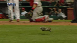 2011 NLDS Gm4: Squirrel makes a dash for the plate