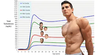 Examples of Testosterone Levels | TESTOSTERONE 101